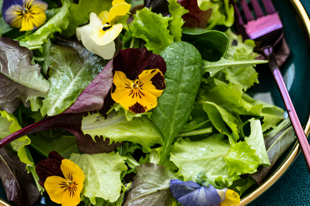 Spring Salad Recipe